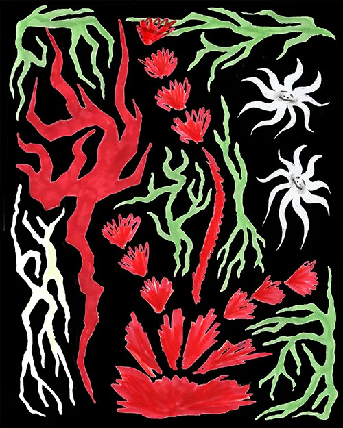 RAICES